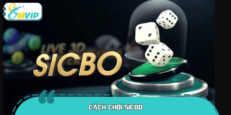 Cách Chơi Sicbo Chi Tiết Từ A–Z Cho Người Mới Bắt Đầu